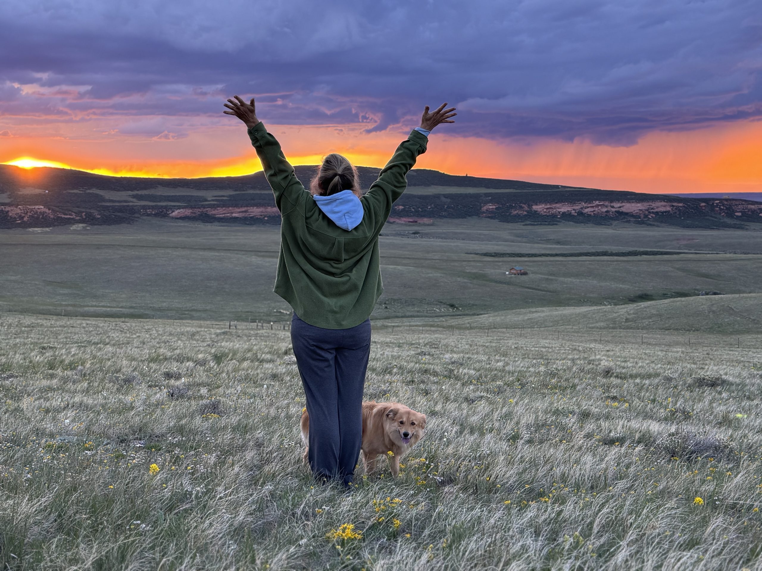 large header image of erin at the sunset